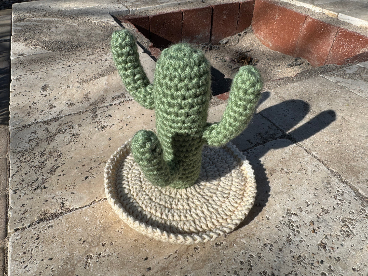 Cactus Earring Holder