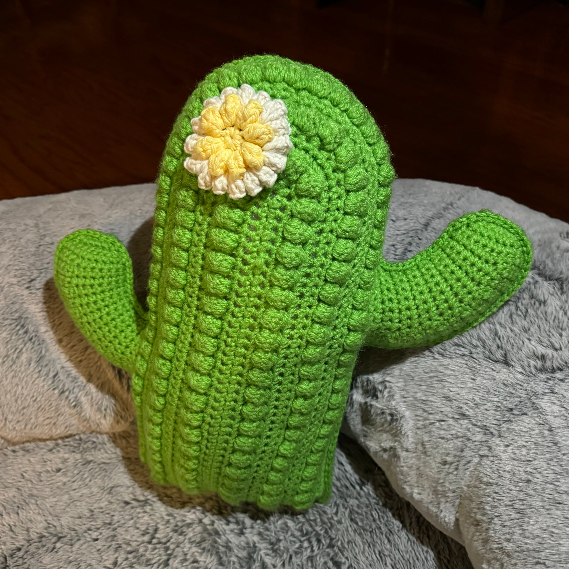 Cactus Hook Pillow  Cactus, Hooked pillow, Crochet for home