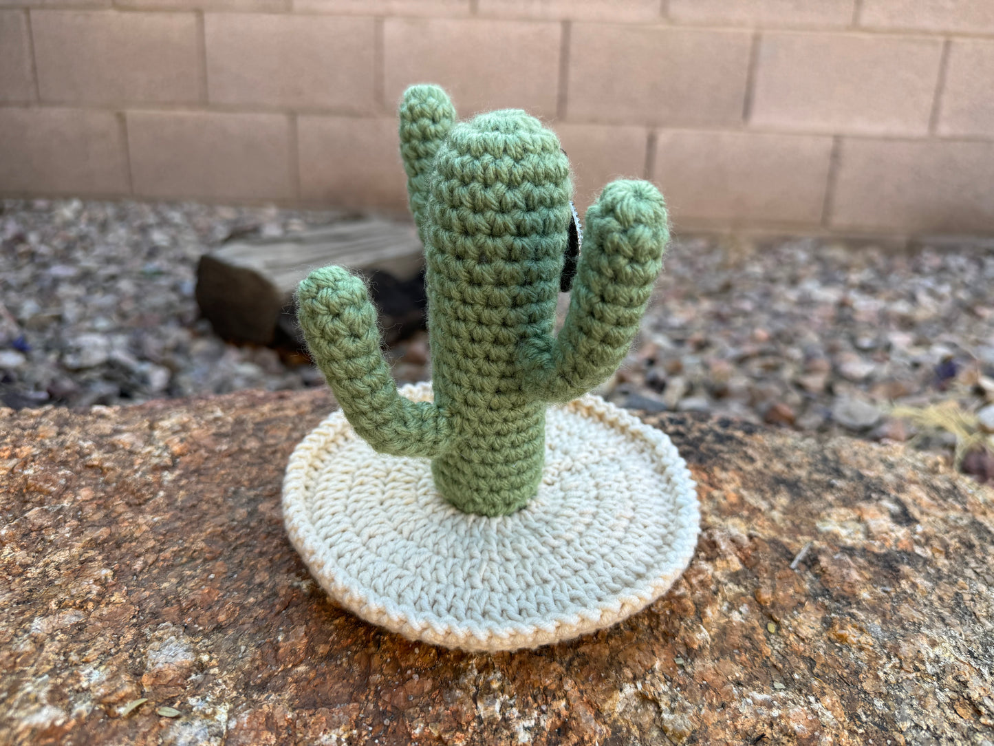 Cactus Earring Holder