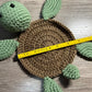 Turtle Coaster