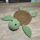 Turtle Coaster