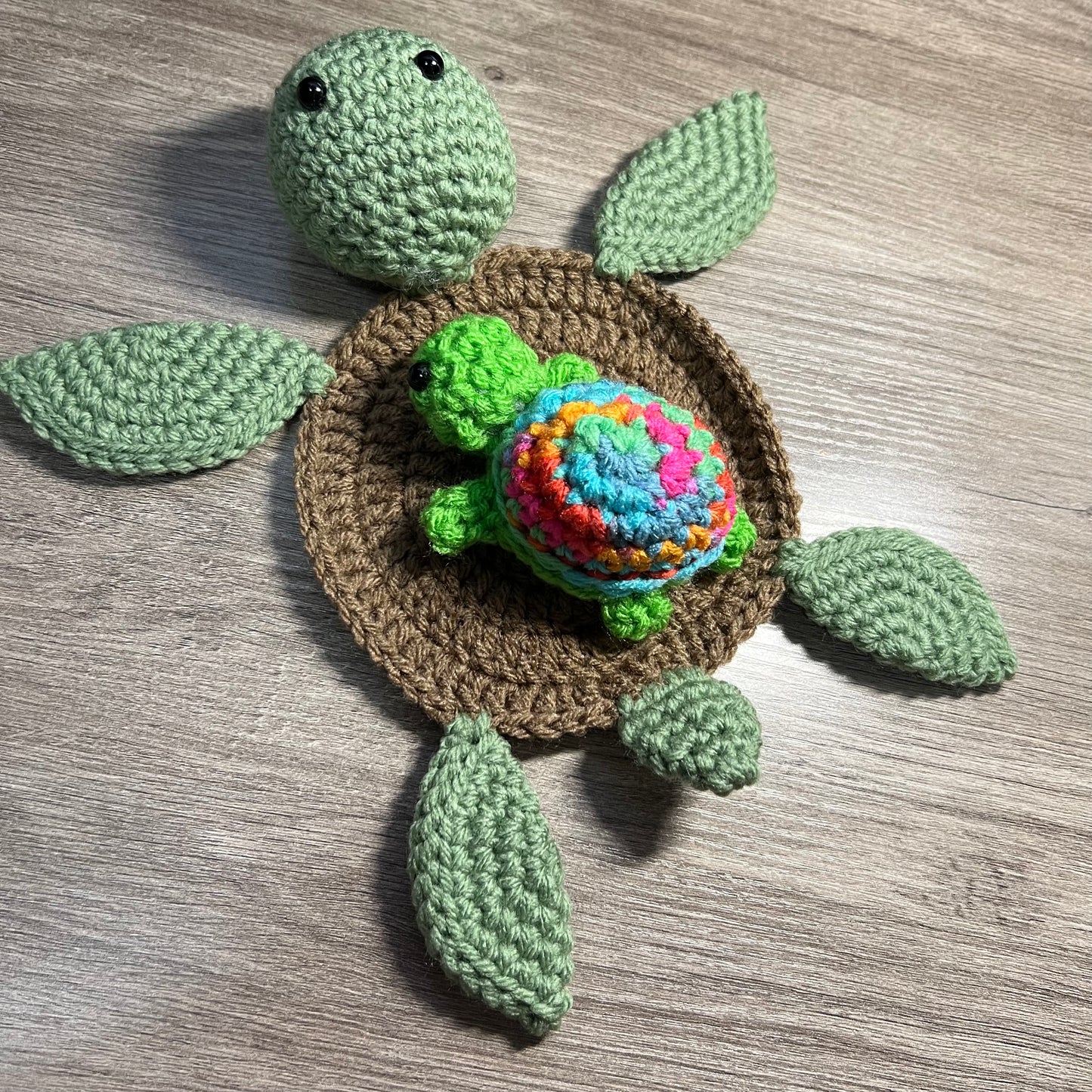 Turtle Coaster