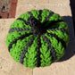 Green & Black Wheat Stitch Pumpkin