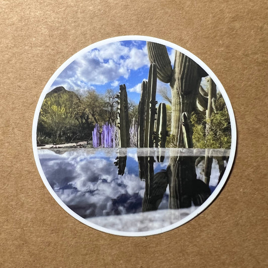 Cacti Reflection Sticker (Matte) | Linzy's Photo